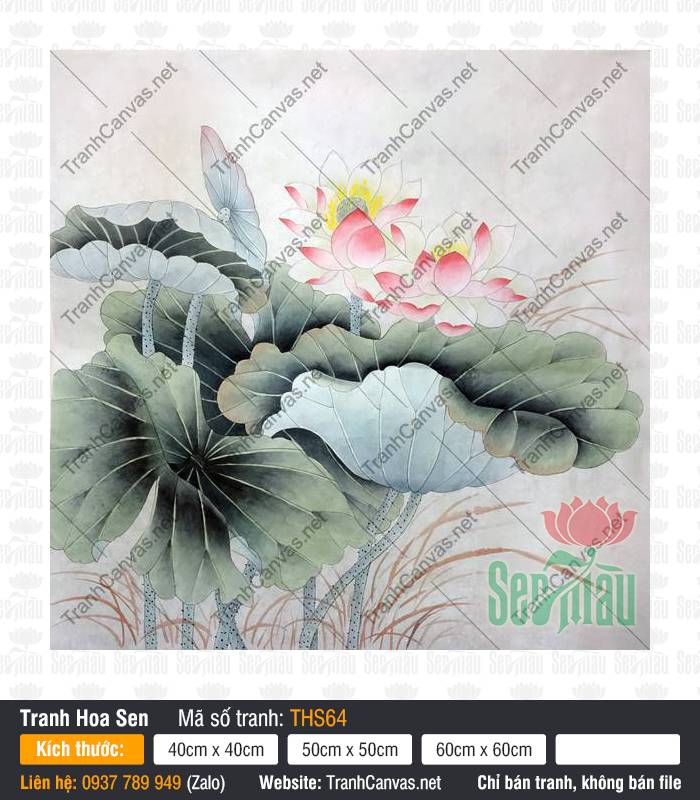 Tranh Hoa Sen Canvas THS64, Hình Hoa Sen Siêu Đẹp, Tranh Hoa Sen, Tranh In Canvas