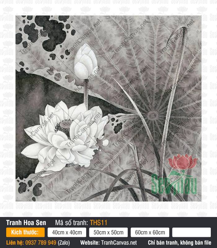 Tranh Hoa Sen Đen Trắng THS11, Tranh Hoa Sen, Tranh Canvas Sài Gòn