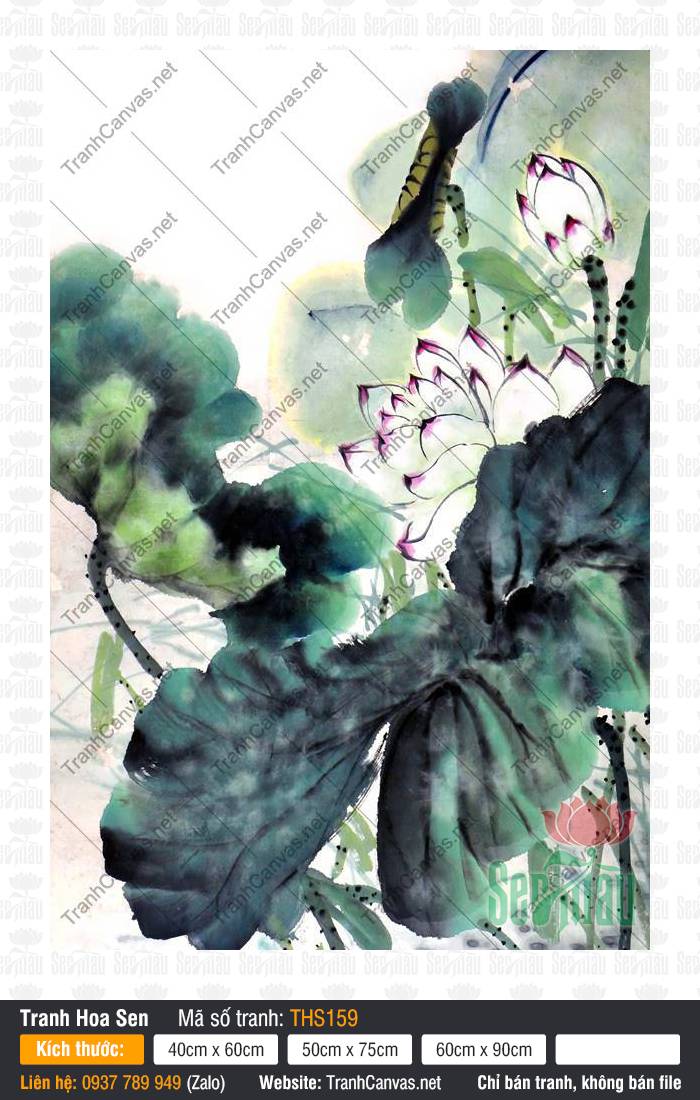Tranh Hoa Sen Đẹp Nhất THS159, Hình Vẽ Hoa Sen Đẹp, Tranh Hoa Sen, In Tranh Canvas Khổ Lớn