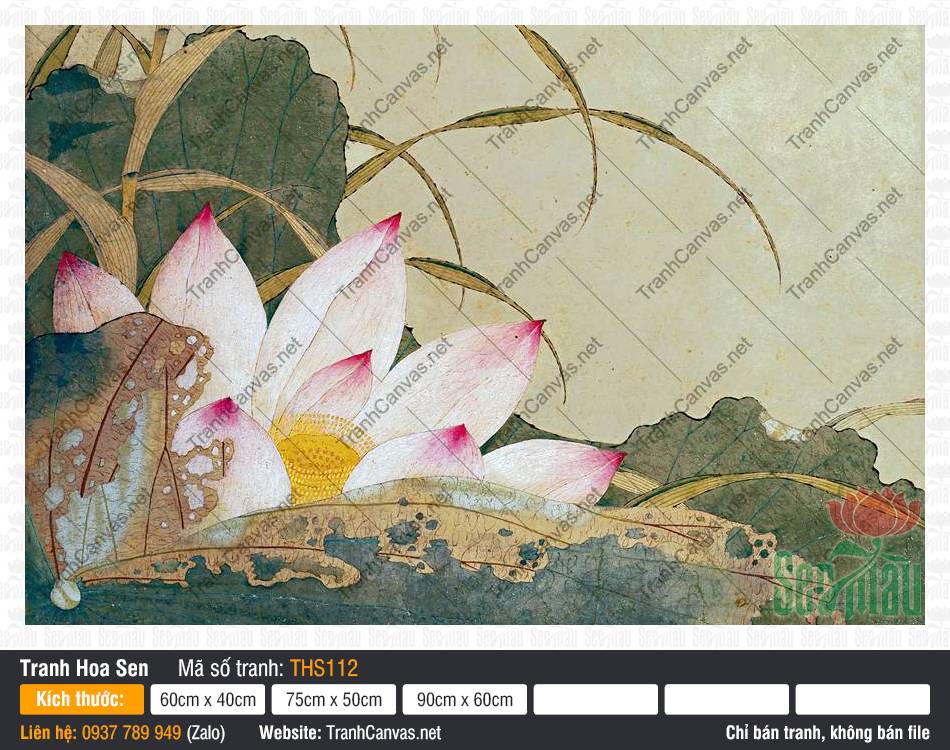 Tranh Hoa Sen Đẹp THS112, Hình Vẽ Hoa Sen Đẹp Nhất, Tranh Hoa Sen, In Tranh Trên Vải Canvas
