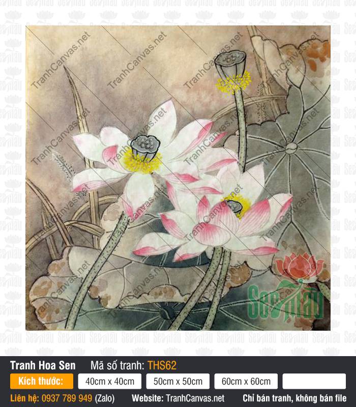 Tranh Hoa Sen Đẹp THS62, Hình Ảnh Hoa Sen Siêu Đẹp, Tranh Canvas Khổ Lớn