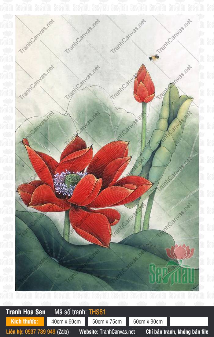 Tranh Hoa Sen Đỏ THS81, Tranh Hoa Sen Phòng Khách, Tranh Hoa Sen, Tranh Canvas Treo Phòng Khách