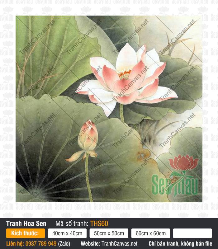 Tranh Hoa Sen Khổ Lớn THS60, Hình Ảnh Hoa Sen Đẹp, Tranh Hoa Sen, Tranh Canvas HCM