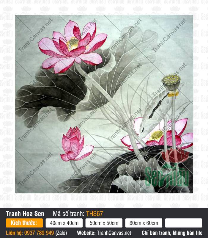 Tranh Hoa Sen Lớn THS67, Hình Ảnh Hoa Sen Đẹp Nhất, Tranh Hoa Sen, Tranh Canvas Phong Thủy