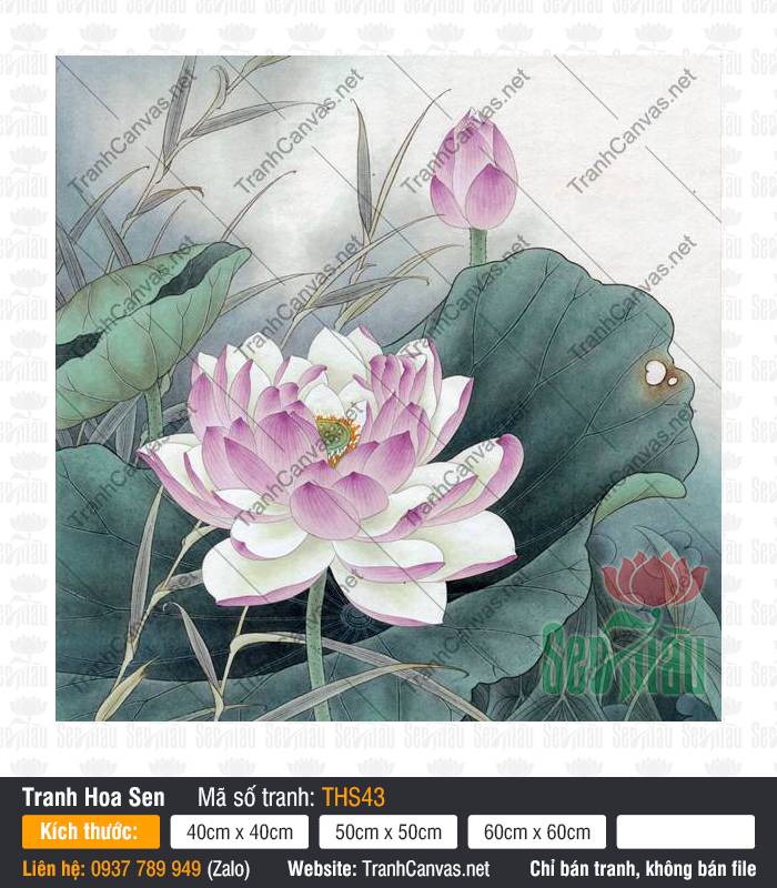 Tranh Hoa Sen Màu Tím THS43, Mẫu Tranh Hoa Sen Đẹp, Tranh Hoa Sen, In Tranh Canvas Chất Lượng Cao