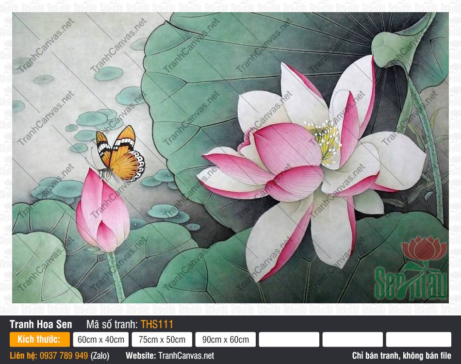 Tranh Hoa Sen Nghệ Thuật THS111, Bức Tranh Hoa Sen, Tranh Hoa Sen, In Tranh Treo Tường Canvas
