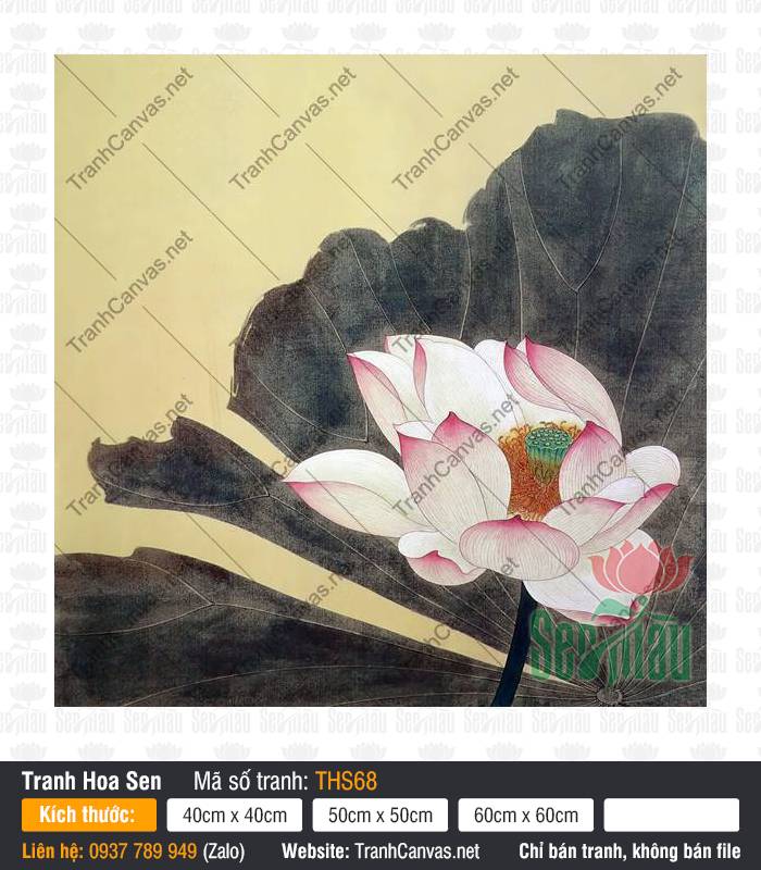 Tranh Hoa Sen Phòng Khách THS68, Hình Hoa Sen Đẹp, Tranh Hoa Sen, Tranh Canvas Sài Gòn
