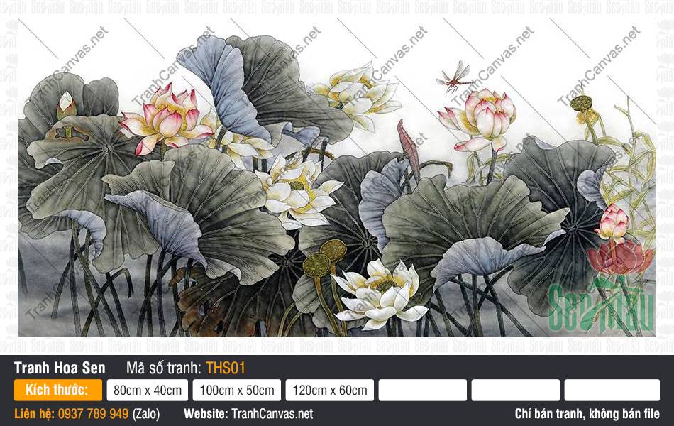 Tranh Hoa Sen THS01, Tranh Hoa Sen Đẹp, Tranh Canvas