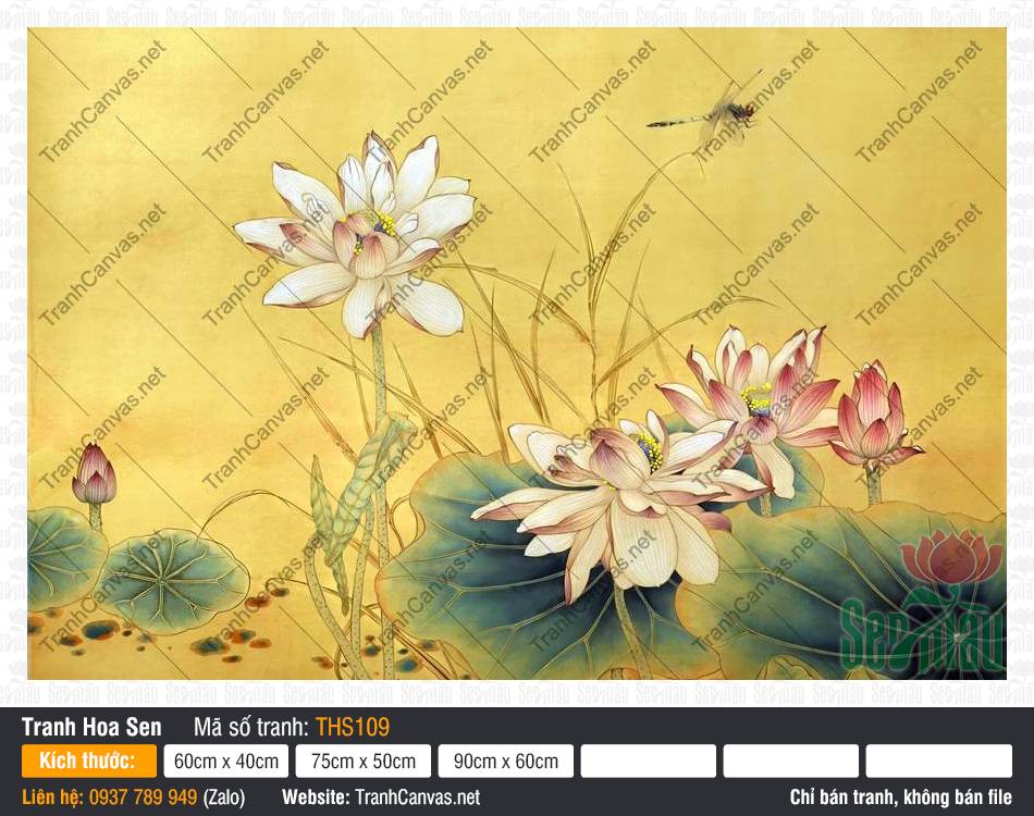 Tranh Hoa Sen THS109, Hình Bông Hoa Sen Đẹp, In Tranh Lên Canvas