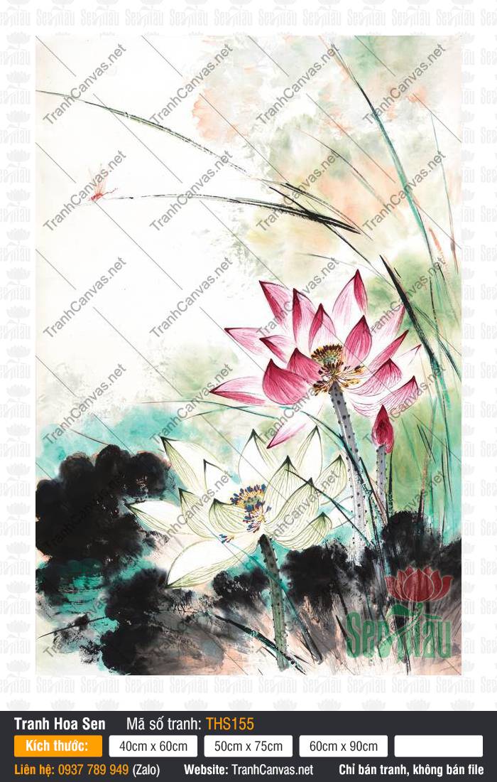 Tranh Hoa Sen THS155, Tranh Hoa Sen Treo Phòng Ngủ, In Canvas Khổ Lớn