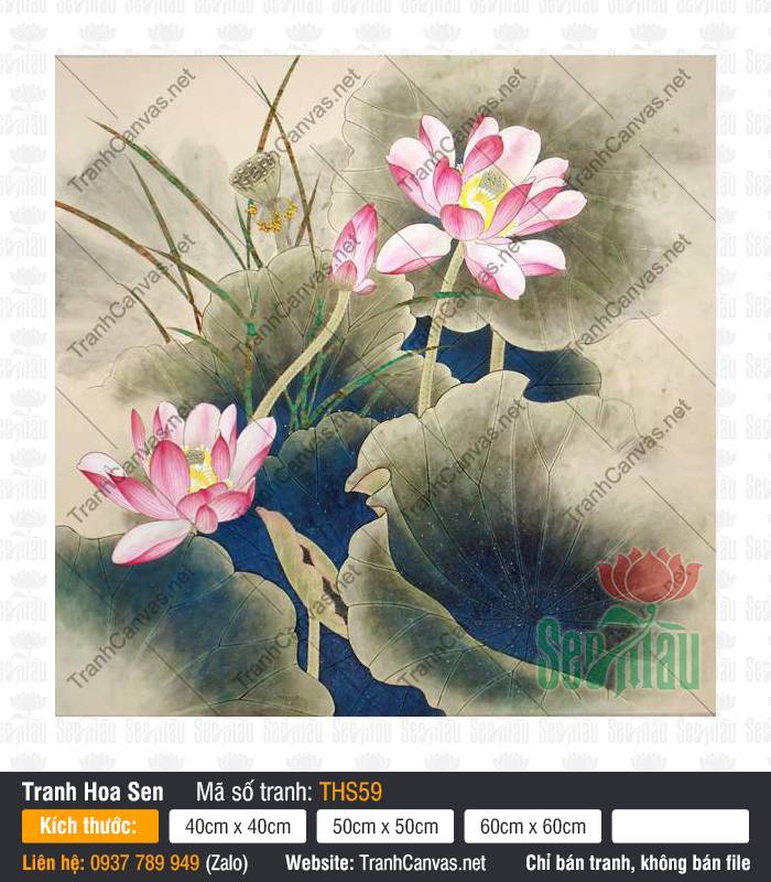 Tranh Hoa Sen THS59, Hình Bông Hoa Sen Đẹp, Tranh Canvas Đẹp