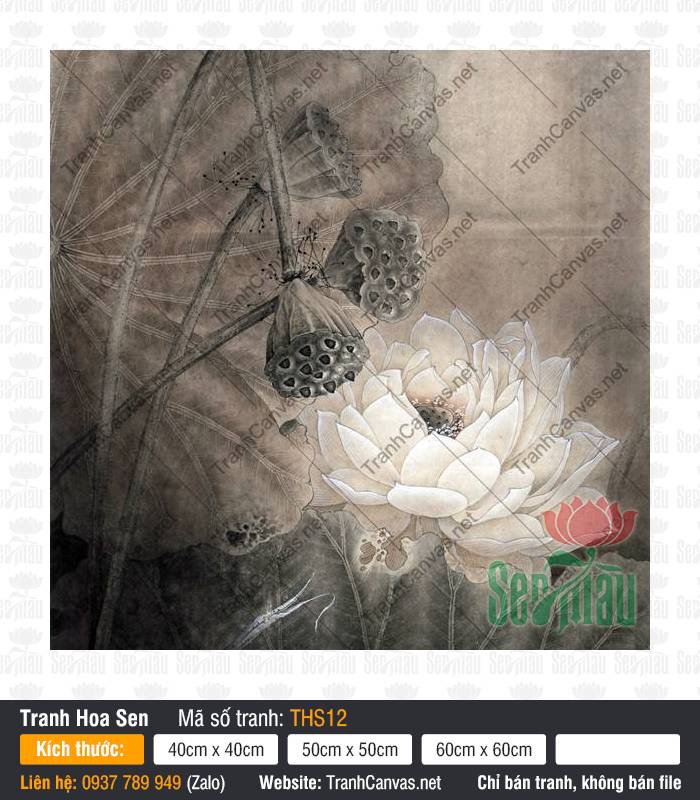 Tranh Hoa Sen Trắng Đen THS12, Tranh Hoa Sen Đẹp, Tranh Hoa Sen, Tranh Canvas Saigon