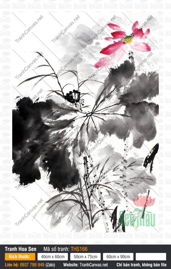 Tranh Hoa Sen Trang Trí Phòng Khách THS166, Hình Hoa Sen Đẹp Nhất, Tranh Hoa Sen, In Tranh Lên Canvas