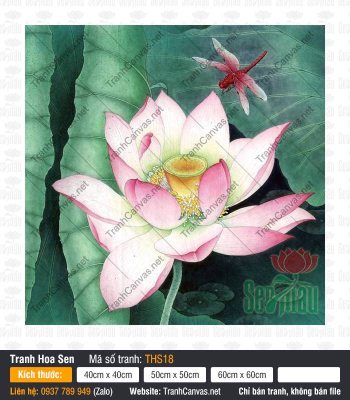 Tranh Hoa Sen Trang Trí Phòng Khách THS18, Tranh Hoa Sen, Tranh Canvas Decor