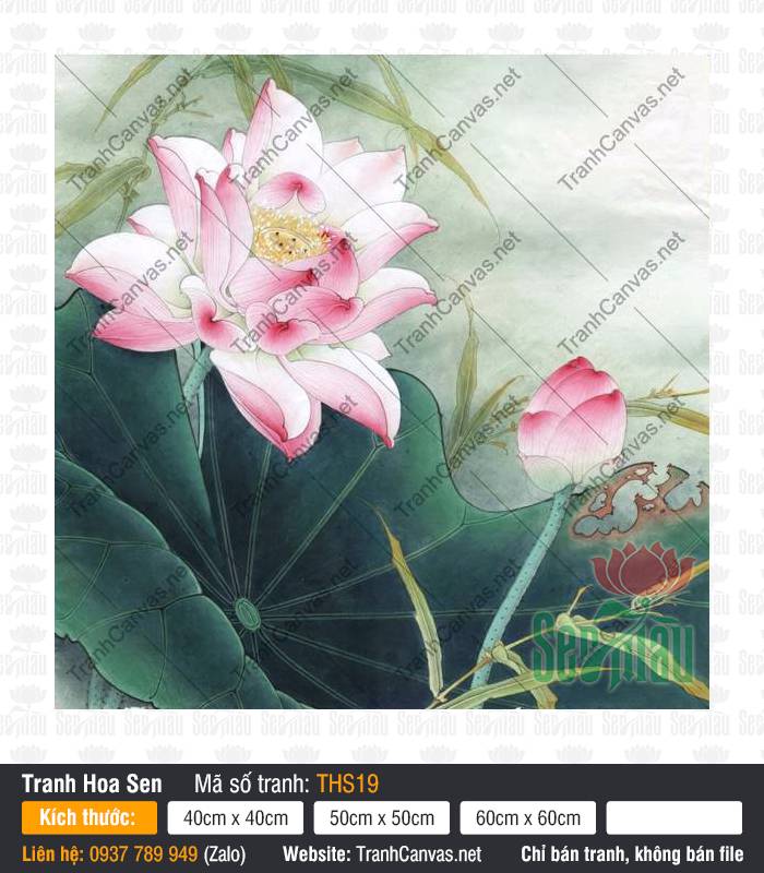 Tranh Hoa Sen Treo Phòng Khách THS19, Tranh Hoa Sen, Tranh Canvas Không Khung