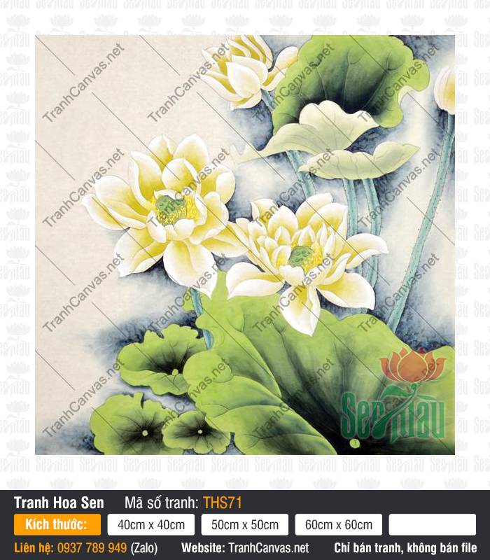 Tranh Hoa Sen Treo Phòng Khách THS71, Tranh Hoa Sen, Tranh Canvas TPHCM