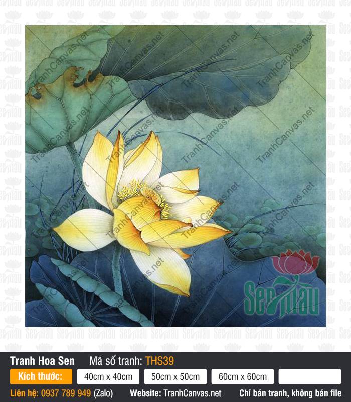 Tranh Hoa Sen Vàng THS39, Tranh In Hoa Sen, Tranh Hoa Sen, Dịch Vụ In Tranh Canvas