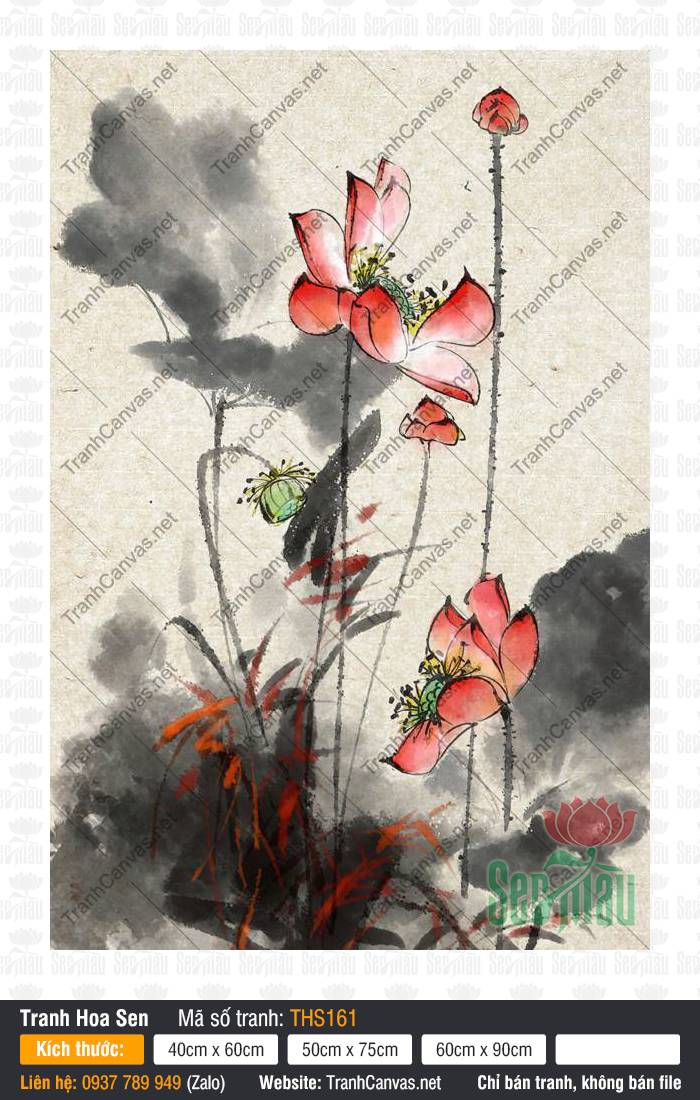 Tranh In Hoa Sen THS161, Hình Ảnh Hoa Sen Đẹp Nhất, Tranh Hoa Sen, In Tranh Canvas TPHCM