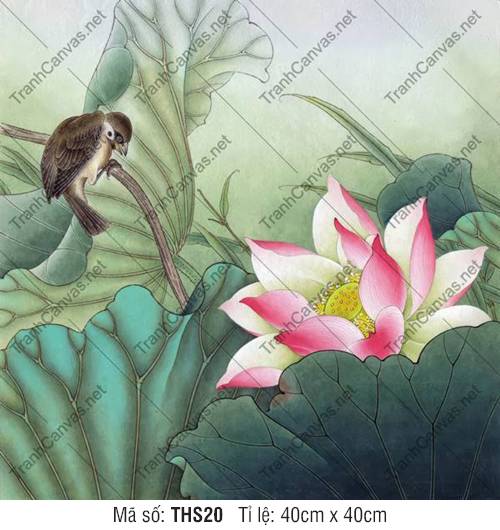 Bức Tranh Hoa Sen THS20, Hình Hoa Sen Đẹp Nhất