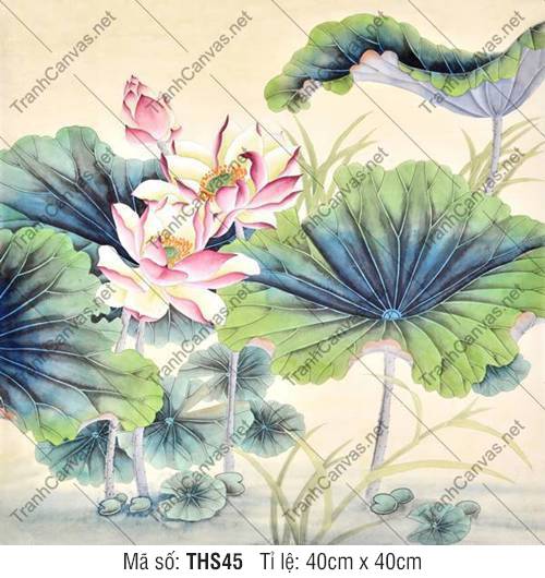 Hình Ảnh Hoa Sen Cực Đẹp THS45, Tranh Hoa Sen Đẹp