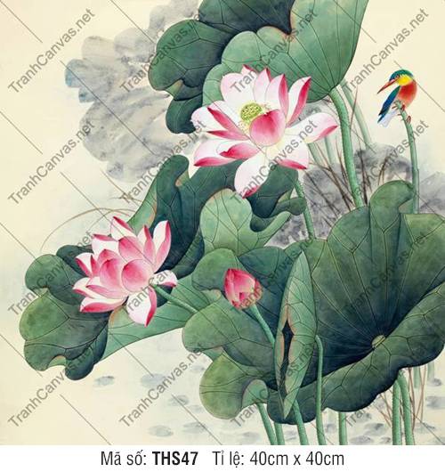 Hình Ảnh Hoa Sen Đẹp Nhất THS47, Tranh Hoa Sen Lớn