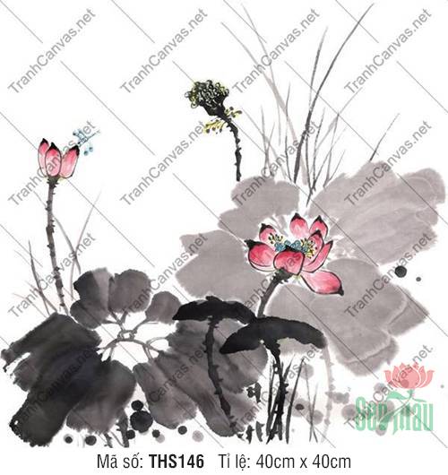 Hình Ảnh Hoa Sen Đẹp THS146, Tranh Hoa Sen Canvas