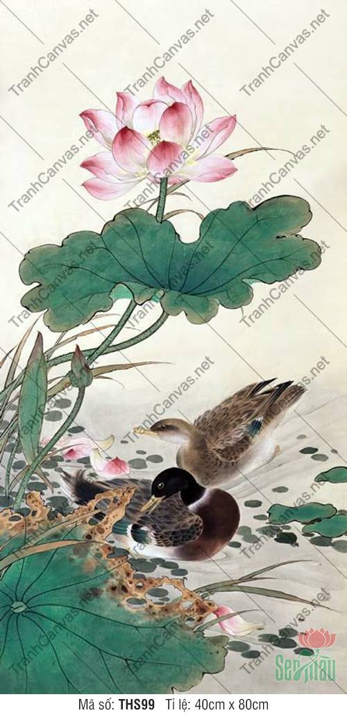 Hình Ảnh Hoa Sen Đẹp THS99, Tranh Hoa Sen Đẹp Nhất