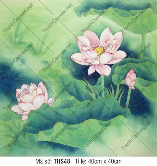 Hình Ảnh Hoa Sen Siêu Đẹp THS48, Bức Tranh Hoa Sen