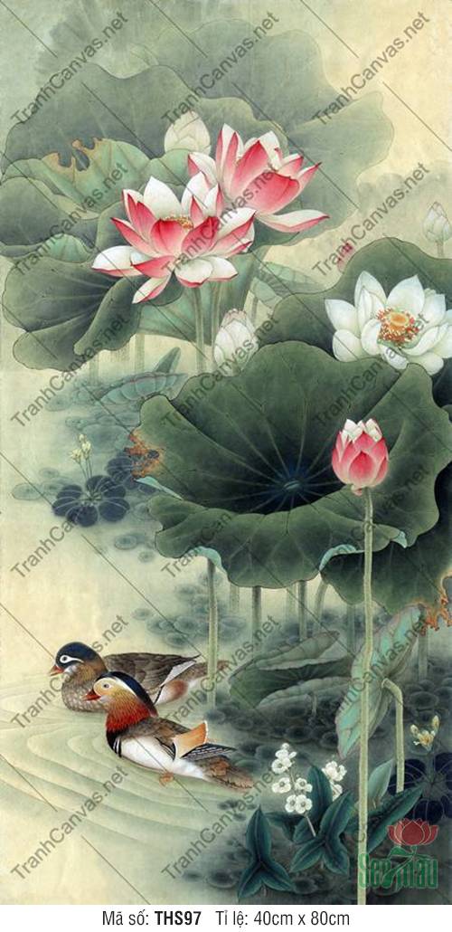 Hình Ảnh Hoa Sen THS97, Tranh Hoa Sen Phòng Khách