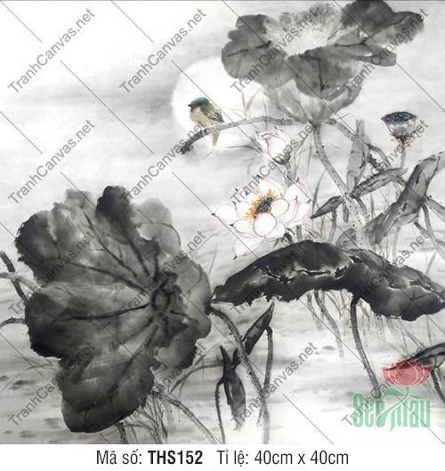 Hình Bông Hoa Sen Đẹp THS152, Tranh Hoa Sen Canvas