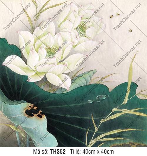 Hình Bông Hoa Sen Đẹp THS52, Tranh Hoa Sen Canvas
