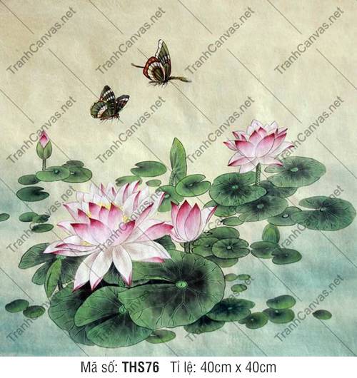 Hình Hoa Sen Đẹp Nhất THS76, Tranh Hoa Sen Khổ Lớn