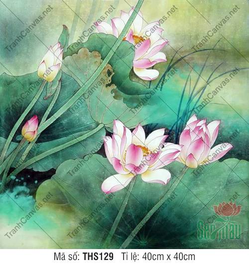 Hình Hoa Sen Đẹp THS129, Tranh Hoa Sen Phòng Khách