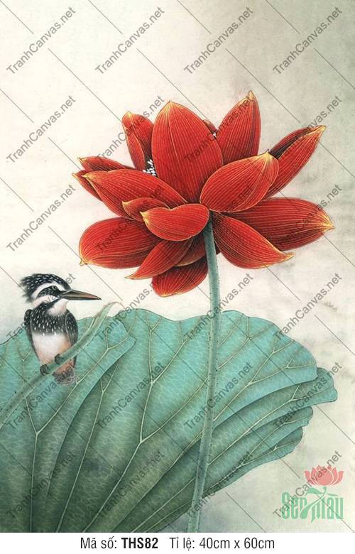 Hình Hoa Sen Đỏ THS82, Tranh Hoa Sen Đẹp Nhất