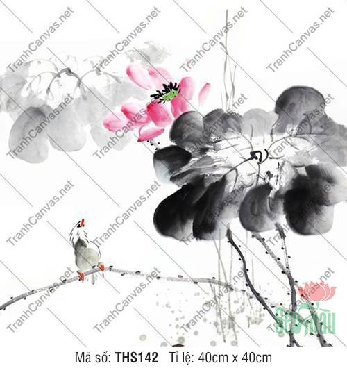 Hình Vẽ Hoa Sen Đẹp Nhất THS142, Tranh Hoa Sen Đẹp