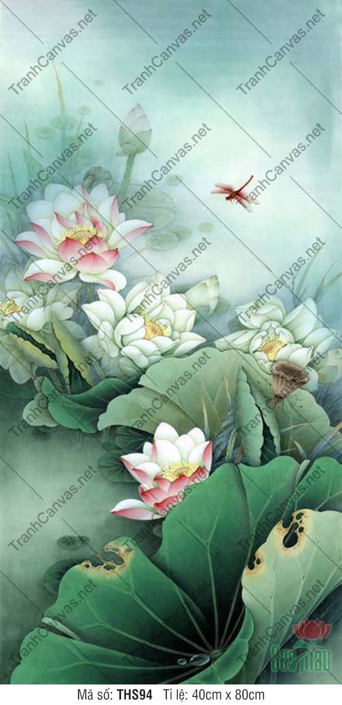 Hình Vẽ Hoa Sen Đẹp THS94, Tranh Hoa Sen Đẹp Nhất
