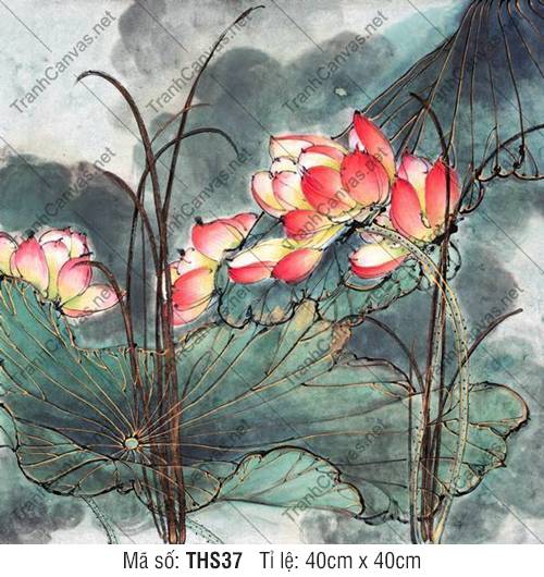 Mẫu Hình Hoa Sen Đẹp THS37, Tranh Hoa Sen