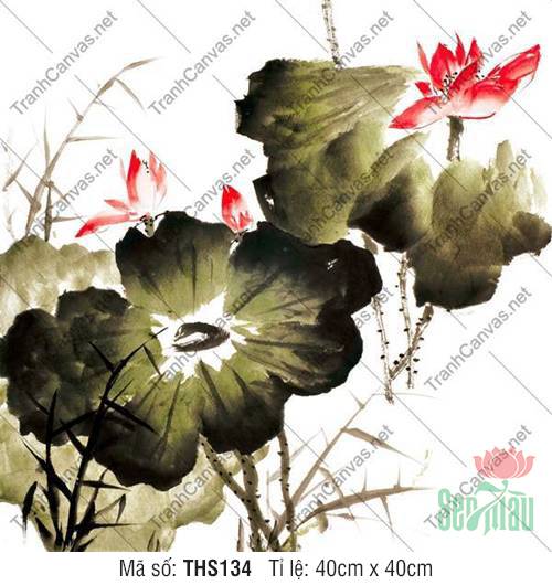Mẫu Tranh Hoa Sen Đẹp THS134, Tranh Hoa Sen Canvas