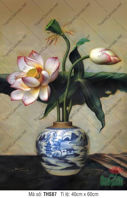 Tranh Bình Hoa Sen THS87, Hình Hoa Sen Trang Trí