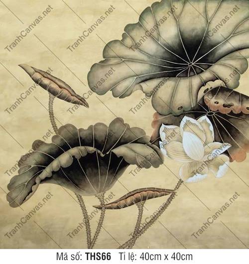 Tranh Hình Hoa Sen THS66, Hình Ảnh Hoa Sen Cực Đẹp