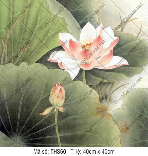 Tranh Hoa Sen Khổ Lớn THS60, Hình Ảnh Hoa Sen Đẹp