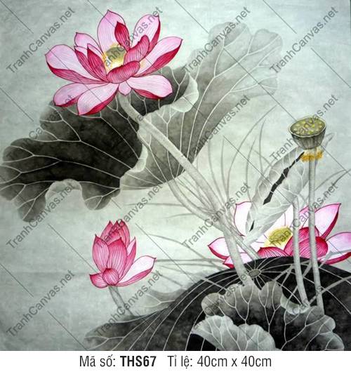 Tranh Hoa Sen Lớn THS67, Hình Ảnh Hoa Sen Đẹp Nhất