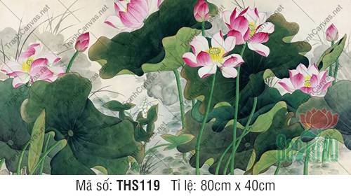 Tranh Hoa Sen Phòng Khách THS119, Hình Hoa Sen Đẹp