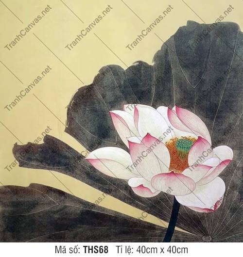 Tranh Hoa Sen Phòng Khách THS68, Hình Hoa Sen Đẹp