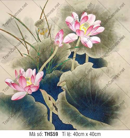 Tranh Hoa Sen THS59, Hình Bông Hoa Sen Đẹp