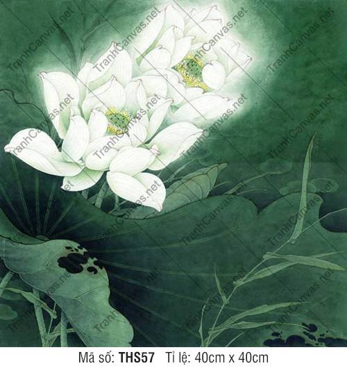 Tranh Hoa Sen Trắng Đẹp THS57, Tranh Hoa Sen Canvas