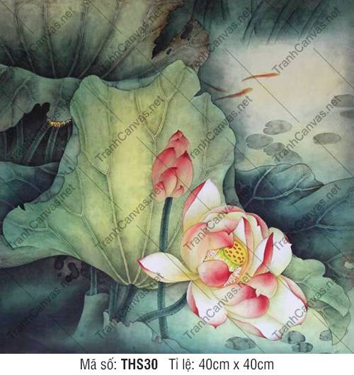 Tranh Hoa Sen Treo Phòng Ngủ THS30, Tranh Hoa Sen