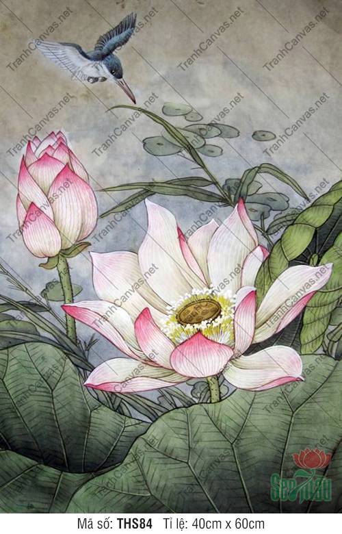Tranh Hoa Sen Treo Phòng Ngủ THS84, Hình Hoa Sen