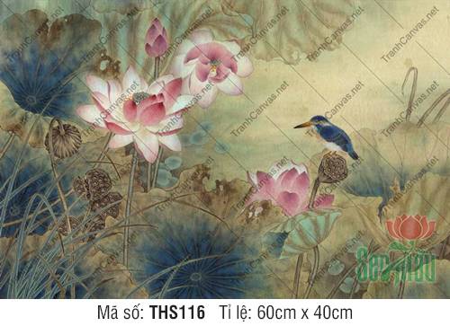 Tranh In Hoa Sen THS116, Hình Ảnh Hoa Sen Đẹp Nhất