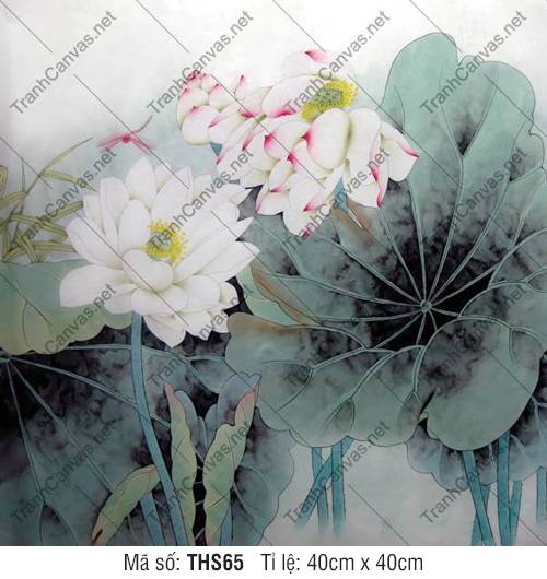 Tranh In Hoa Sen THS65, Hình Ảnh Hoa Sen Trang Trí